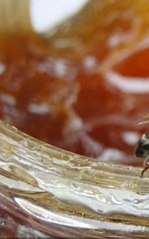 Jak smakować Polskę u gospodarza? Nowe lepsze przepisy!